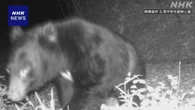 広島 安佐動物公園 カメラに野生ツキノワグマ 一部閉鎖し営業