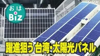 【きょうのおはBiz 10月23日(木)】躍進狙う台湾・太陽光パネル