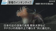 【動画】Pickup NEWS （10月23日）