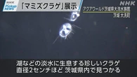 【動画】Pickup NEWS(7月5日）