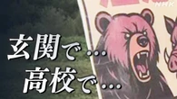 クマ被害 きょうも相次ぐ “追い払う”架空動画に誤解の懸念も