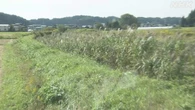 秋田市 クマに男性2人相次ぎ襲われけが ランニングや散歩中に