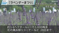 【動画】Pickup NEWS（6月14日）