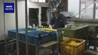 米の鉄鋼製品などへの追加関税 日本の中小企業に不安広がる