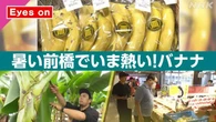 【きょうのおはBiz 7月27日(月)】暑い前橋でいま熱い！バナナ