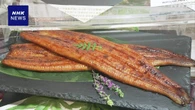 完全養殖ウナギ あすからオンラインで試験販売開始