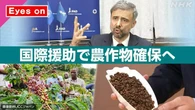 【きょうのおはBiz 6月22日(月)】国際援助で農作物確保へ