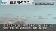 【動画】Pickup NEWS（6月22日）