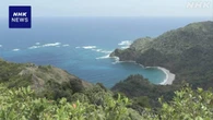小笠原諸島 固有種の動植物保護で外来種侵入状況調査へ 環境省