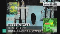 群馬 沼田 昨夜クマ侵入し2人けがのスーパー周辺 朝から警戒