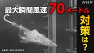 「新幹線の速さに相当する風 対策を」台風22号で専門家が警鐘