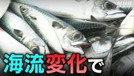 全国各地の漁場 魚の種類や漁獲量に変化