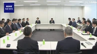 食料品の消費税減税 事業者負担など指摘も 与党 懸念払拭図る