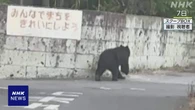 宇都宮市中心でクマ発見も逃走 けさから再び捜索へ