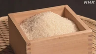 スーパーでのコメ平均価格 最高値に 5キロ税込み4316円 農水省