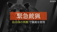 クマに発砲「緊急銃猟」制度 運用開始1か月で見えてきた課題は