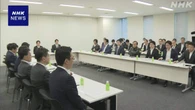 食料品の消費税減税 来年4月から1％に引き下げる案も 政府与党