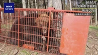 クマ人身被害 4月以降6道県で少なくとも12人