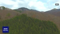郡馬 桐生 登山中に男性がクマに襲われけが