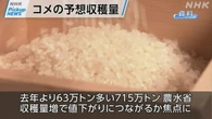 【動画】Pickup NEWS（10月11日）