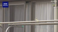 茨城 同居生活で唇縫うよう強要疑い ほかにも唇に針と糸の傷
