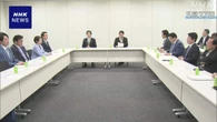 食料品消費税減税 レジシステム改修期間で見通し 政府