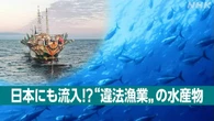きょうのおはBiz 6月17日(水) 日本に流入? “違法漁業”水産物