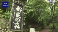 東京 檜原村 登山中の男性がクマに遭遇し滑落
