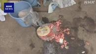 岩手 雫石町 クマが住宅に入り漬物やキャットフードなど食べる