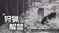ツキノワグマの都内での狩猟約20年ぶりに解禁へ