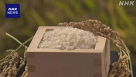 来年の主食用米生産量見通し ことし下回る 自民合同会議が了承