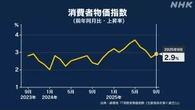 9月の消費者物価指数 前年同月比2.9％上昇 米類は高い水準