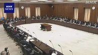 参議院憲法審査会 緊急事態対応などテーマに参考人質疑