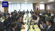 自民税制調査会 食料品の消費税減税めぐり意見交換