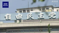 国旗損壊罪法案 自民修正案 動画SNS配信規定の削除検討
