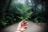 Giubilei smonta tutte le follie degli ecologisti