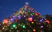 La figlia fa la moglie del locandiere alla recita di Natale: furia della mamma femminista