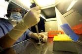 Intelligenza artificiale e fecondazione in vitro: allarme business dagli Usa