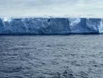 Torna a muoversi l'iceberg più grande al mondo: perché non è una buona notizia