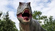 L'ultima cena del tirannosauro: cosa c'era nello stomaco del predatore