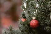 Bonus Spesa Natale 2023: chi ne ha diritto e come si ottiene