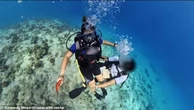 Инструктор по дайвингу домогался туристки прямо в море в Египте