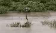 Фермер спас детей во время наводнения, вытащив их из воды коптером (ВИДЕО)