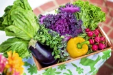 Сезонные овощи и фрукты смогут купить астанчане на ярмарках