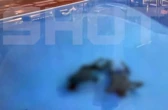 Турист обнаружил два тела в бассейне отеля в Таиланде