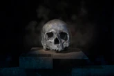 Экс-директора похоронного бюро посадили за обезглавливание тела женщины