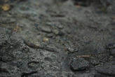 Сточные воды затопили жилые дворы в Атырау