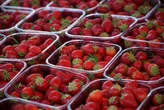 Плесень и дрожжи обнаружены в клубнике из Египта