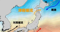 日本海と太平洋が交わる海「津軽海峡」。暖流と寒流がつくる複雑な海の謎といま起こっているある変化とは!?