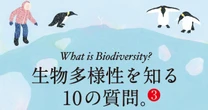 生物多様性が失われると…日常生活にどう影響する？私たちにできるアクションとは？